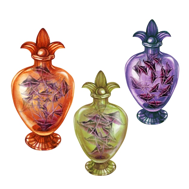 Botellas vintage de vidrio transparente con setas venenosas setas para la alquimia de las brujas Halloween