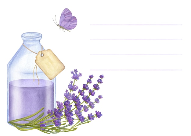 Botellón de aceite esencial violeta para postales mariposa de lavanda Ilustración de acuarela de vidrio aislada