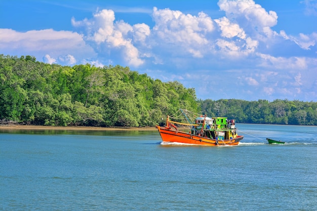 Botes de pesca