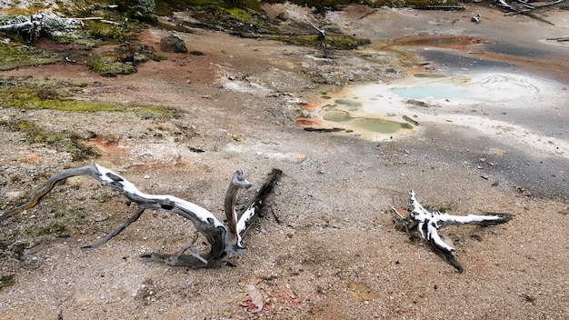 Botes de pintura de artista en el Parque Nacional de Yellowstone.