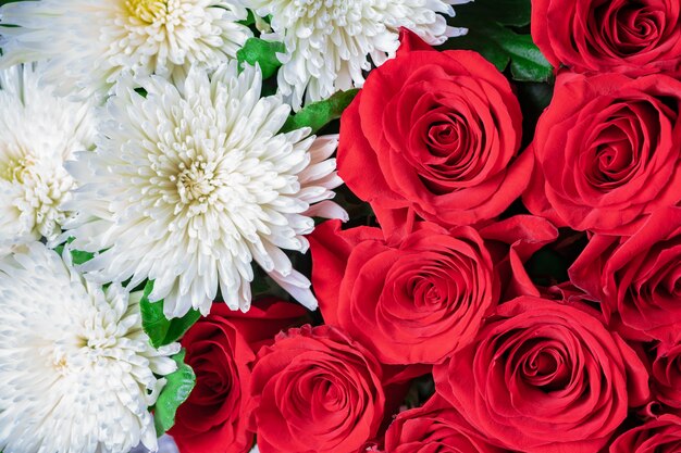 Botões de rosas vermelhas e close-up de crisântemos brancos. floral festivo brilhante.