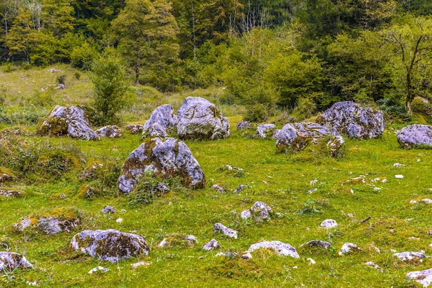 Boulder Steine in Königssee Königssee Nationalpark Berchtesgaden Bayern Deutschland