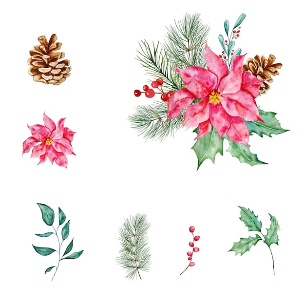 Bouquet aus Aquarell, Wintergrün, Blütenblättern und Sternblumen