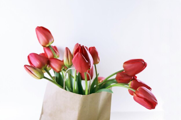 Bouquet aus blühenden roten Tulpen in einer Papiertüte auf einem weißen Hintergrund Frühlingsblumen