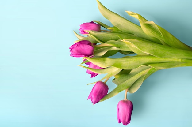 Bouquet de belas tulipas em fundo de madeira Tulipas em tábuas antigas