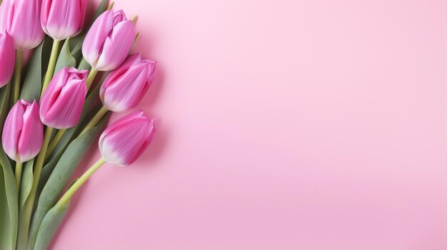 Bouquet de flores de tulipa coloridas espaço de parede branca para espaço de cópia de texto