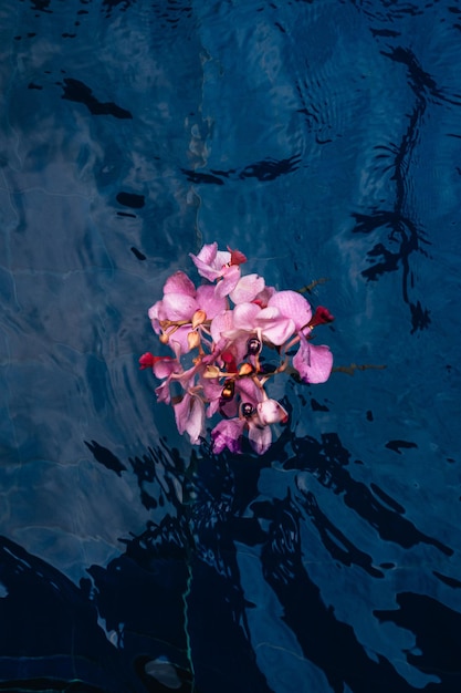 Bouquet de flores exóticas tropicais rosas frescas em água azul escuro Detalhes estéticos de verão