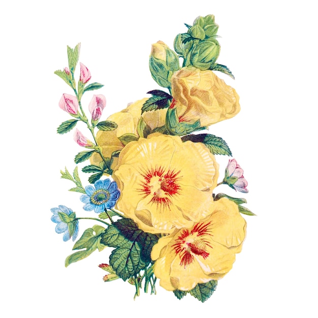 Bouquet de flores vintage transparente em png