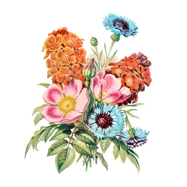 Bouquet de flores vintage transparente em png