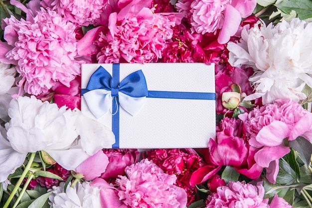 Bouquet de lindas peônias rosa com caixa de presente Cartão de felicitações para o feriado, dia dos namorados