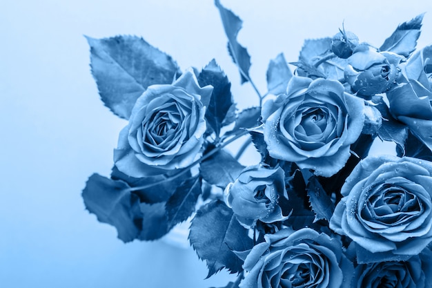 Bouquet de lindas rosas azuis. Foco seletivo, tonalidade criativa azul