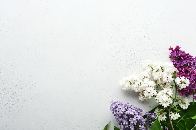 Bouquet de lindo lilás branco e roxo em fundo cinza. Vista do topo. Cartão festivo com peônia para casamentos, feliz dia dos namorados e mães dia das mulheres.