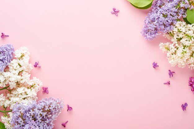 Bouquet de lindo lilás branco e roxo em fundo rosa. Vista do topo. Cartão festivo com peônia para casamentos, feliz dia das mulheres, dia dos namorados e mães.