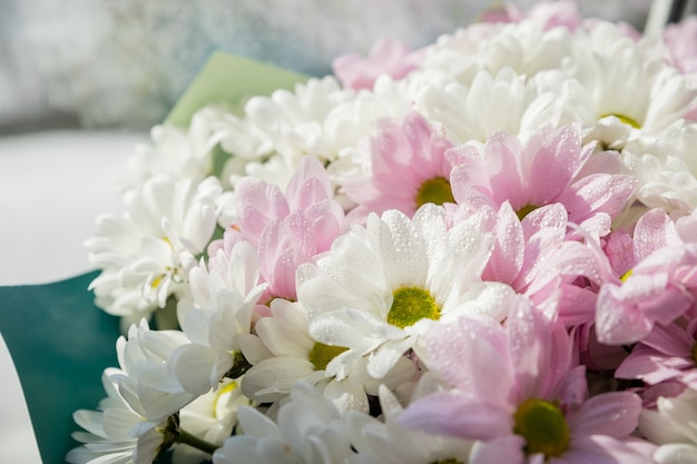 Bouquet de lindos crisântemos. Papel de parede de flores de crisântemos diferentes.