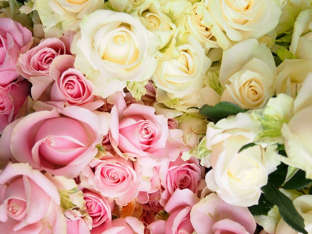 Bouquet de rosas na área de rosa de fazenda