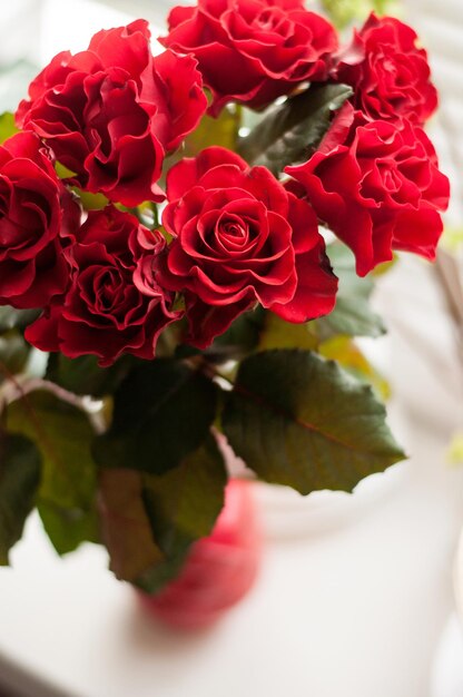 Bouquet de rosas vermelhas em um vaso, com fundo desfocado