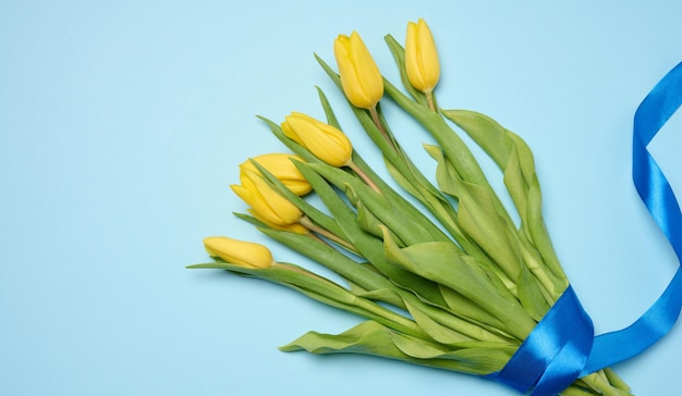 Bouquet de tulipas amarelas em flor com folhas verdes em um fundo azul