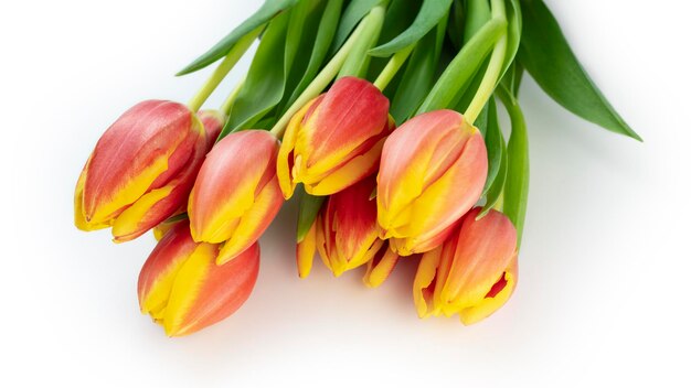 Foto bouquet de tulipas em close-up isolado em fundo branco