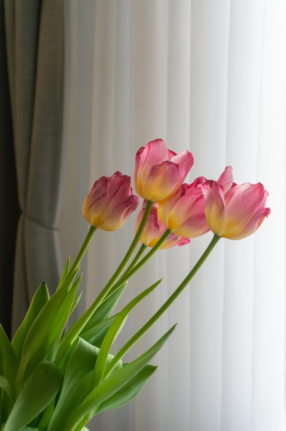 Foto bouquet de tulipas em cortinas de luz de fundo