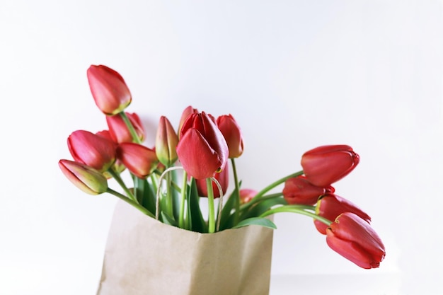 Bouquet de tulipas vermelhas em flor em um saco de papel em um fundo branco flores de primavera