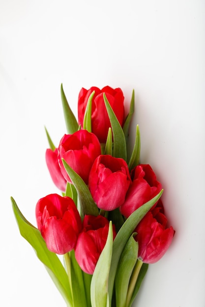 Foto bouquet de tulipas vermelhas isolado em fundo branco