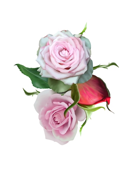 Bouquet em aquarela com flores. Ilustração. Rosa. Desenho digital.