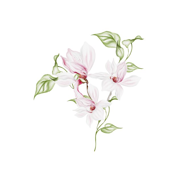 Bouquet de magnolia de boda en acuarela Ilustración