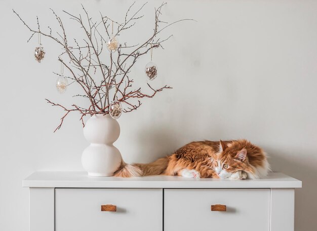 El bouquet de Pascua de estilo minimalismo y un hermoso gato de jengibre casero en una cómoda de madera blanca