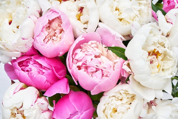 Foto bouquet de peonía rosa y blanca.