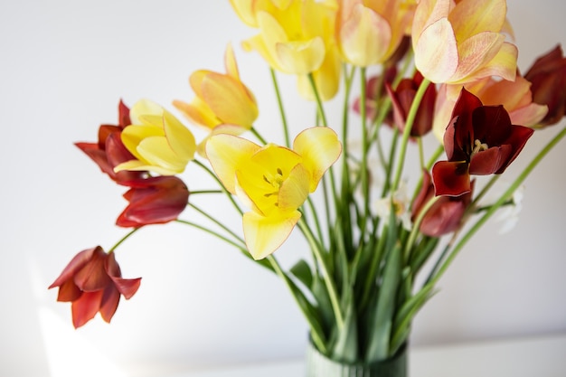 Bouquet von bunten Tulpen. frische Frühlingsblumen, floraler Hintergrund. Urlaubskonzept.