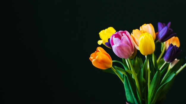 Bouquet von bunten Tulpenblumen