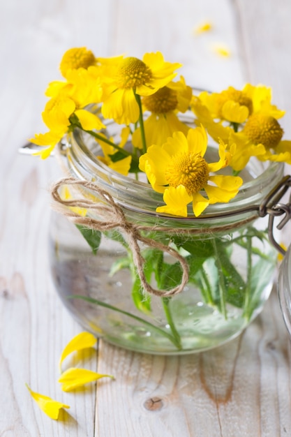 Bouquet von gelbem Helenium