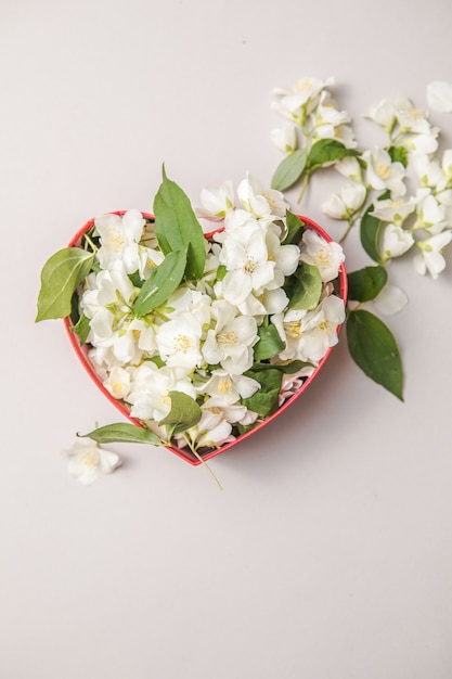 Bouquet von Jasmin in Geschenkbox Valentinstag Blumen Glückwunsch dekorativen Rahmen