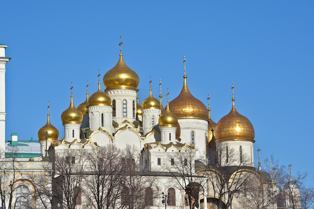 Bóvedas de oro de iglesias en el Kremlin de Moscú