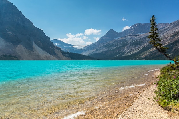 Bow Lake en columbia británica banff en canadá