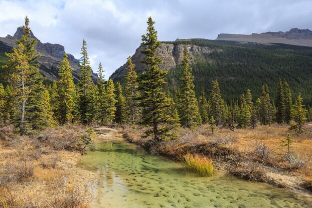 Bow Lake Icefields Parkway, Alberta, Canadá