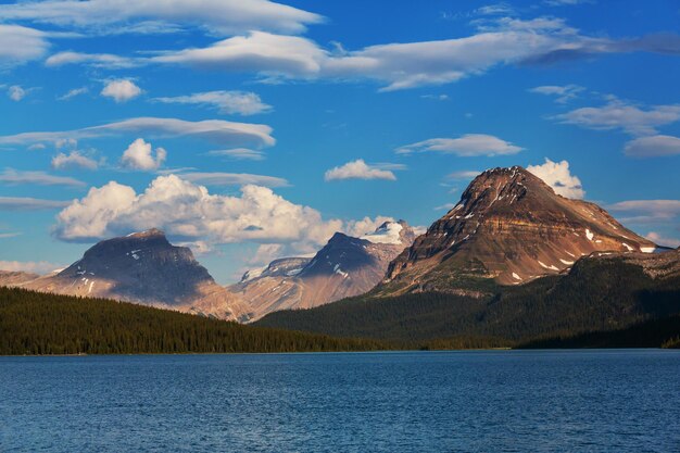 Bow Lake, Icefields Parkway, Parque Nacional Banff, Canadá
