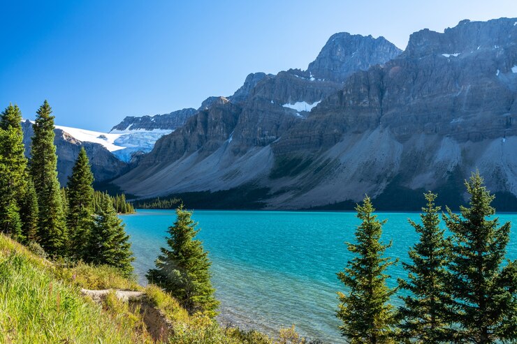 Bow Lake Lakeshore en día soleado de verano Bow Glacier Parque Nacional Banff Canadian Rockies Canadá
