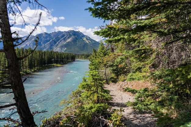 Bow River Trail im Sommer sonniger Tag Mount Norquay im Hintergrund Banff National Park