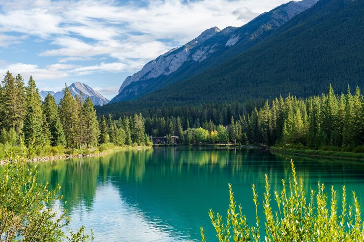 Bow River Trail en verano Hermoso paisaje natural en el Parque Nacional Banff Canadá