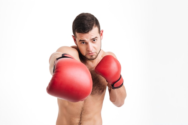 Boxe pelado