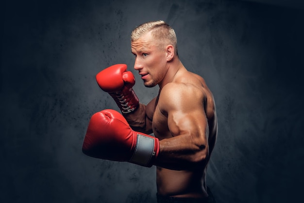 Un boxeador sin camisa que muestra sus golpes y patadas sobre un fondo gris en un estudio.