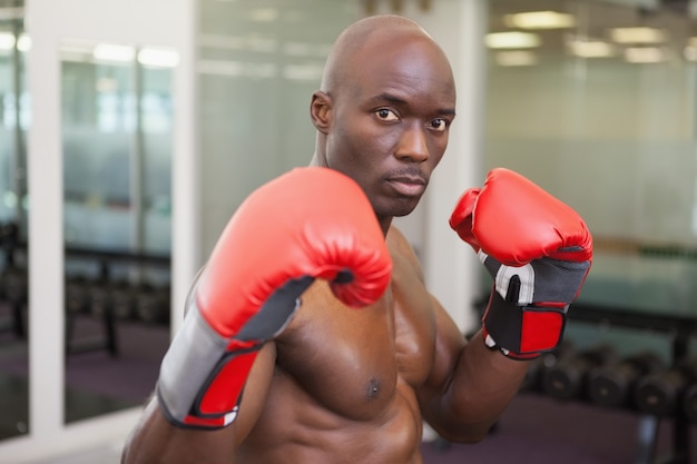 Boxeador muscular en postura defensiva en el club de salud