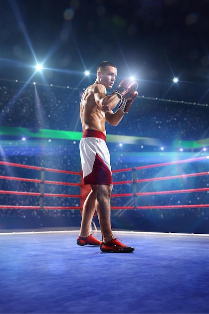 El boxeador profesional está entrenando en la gran arena en luces