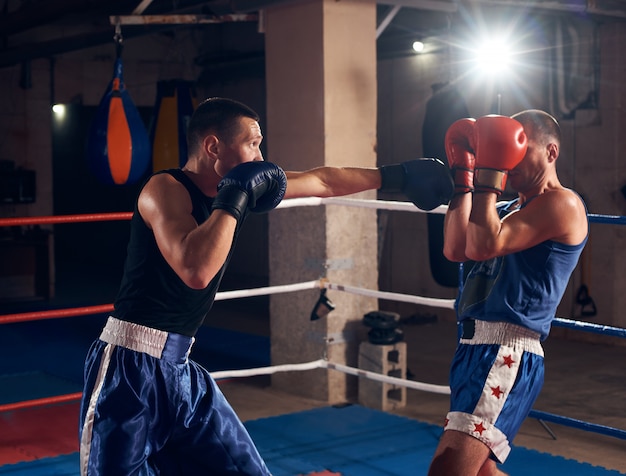 Boxeadores entrenando kickboxing en el ring en el club de salud