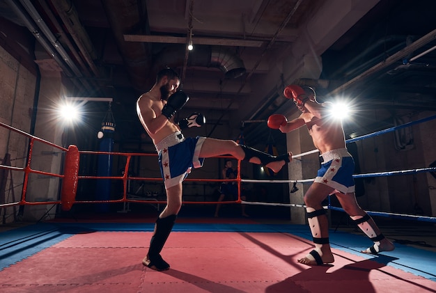 Boxeadores entrenando kickboxing en el ring en el club de salud