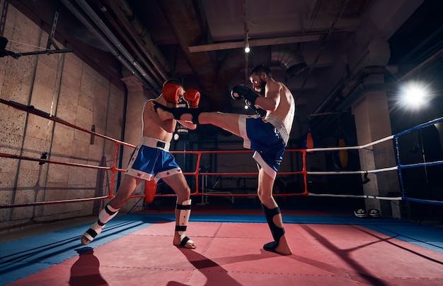 Boxeadores entrenando kickboxing en el ring en el club de salud