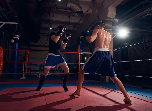 Boxeadores entrenando kickboxing en el ring en el club de salud