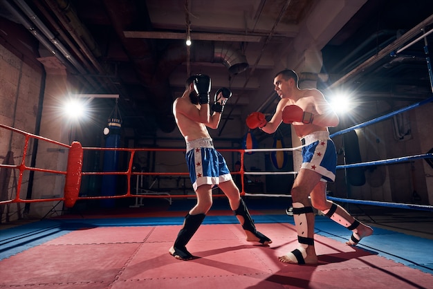 Boxeadores entrenando kickboxing en el ring en el club de salud