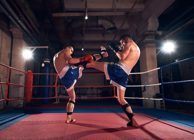 Boxeadores entrenando kickboxing en el ring en el gimnasio